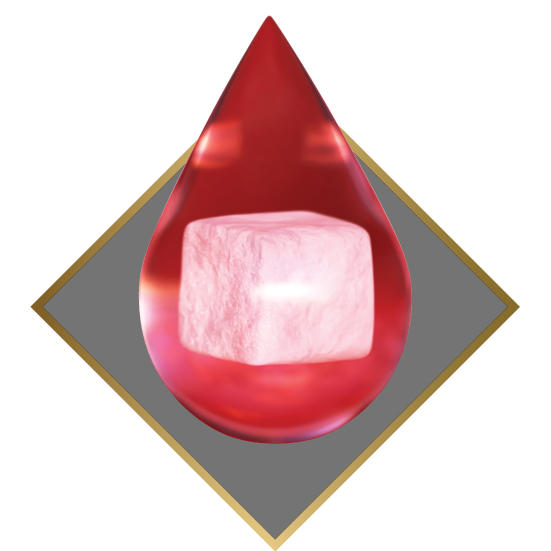 TIỂU ĐƯỜNG TUÝP 2