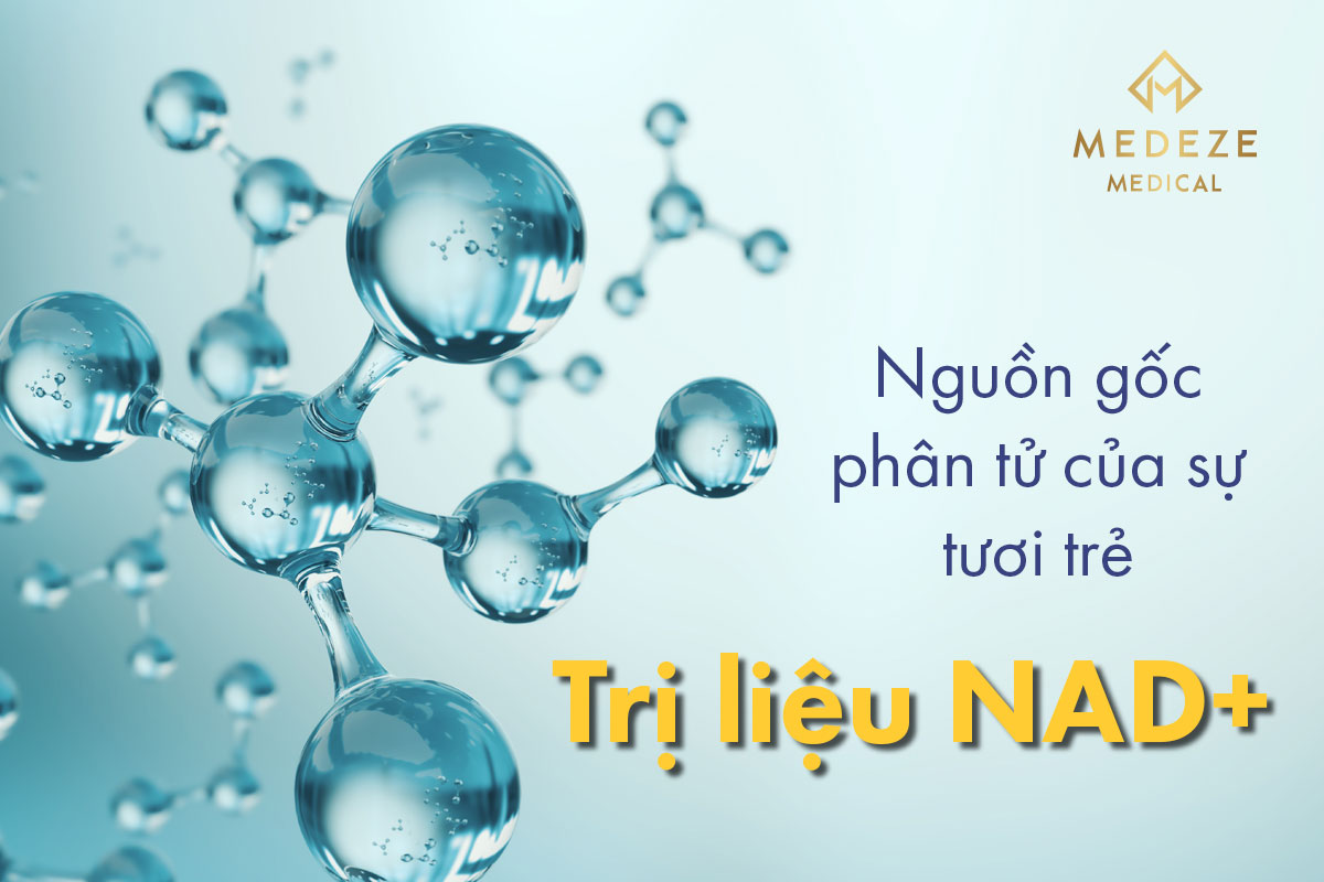 NAD+ nguồn phân tử tuổi trẻ
