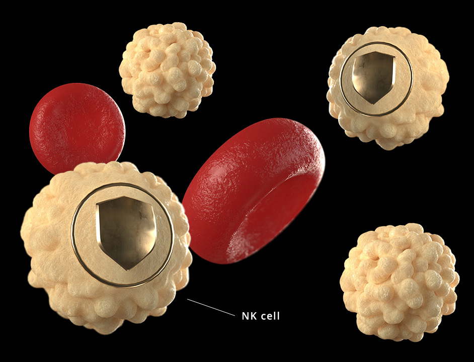 Sự quan trọng của tế bào NK đang hoạt động